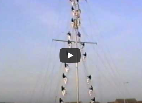 Link to video of Mast Manning Display at HMS Daedalus Lee-on-the-Solent