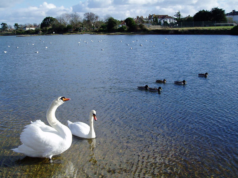 Read more about the article Parks, Lakes & Creeks