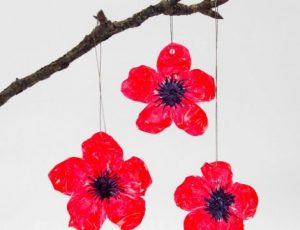 Read more about the article Poppy Making Workshop  (Event from 2018)