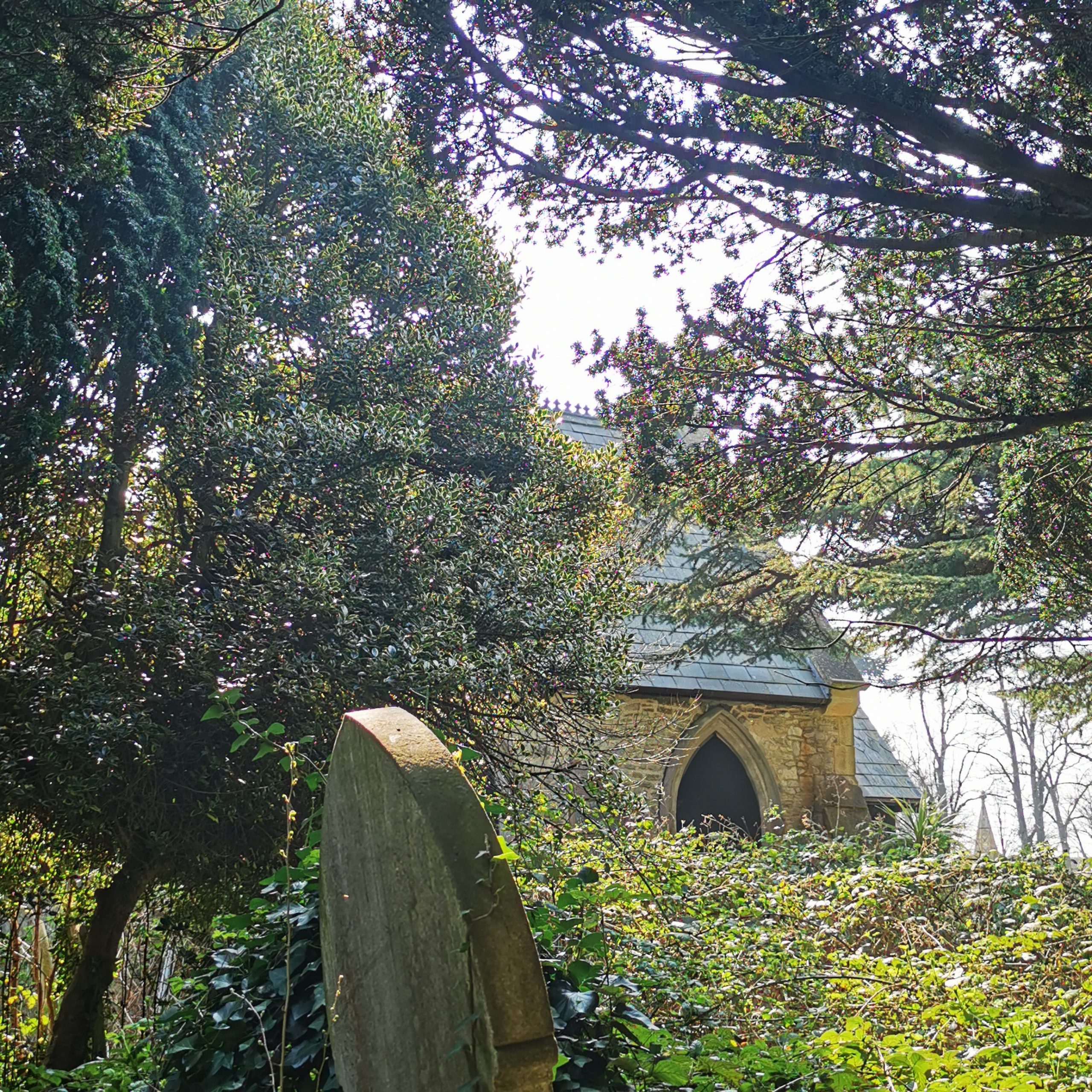 In the foreground is a side view of a gravestone that is leaning slightly to the left. Beyonce the gravestone the corner of a Gothic Chapel of Rest can be seen between shrubbery and tree cover