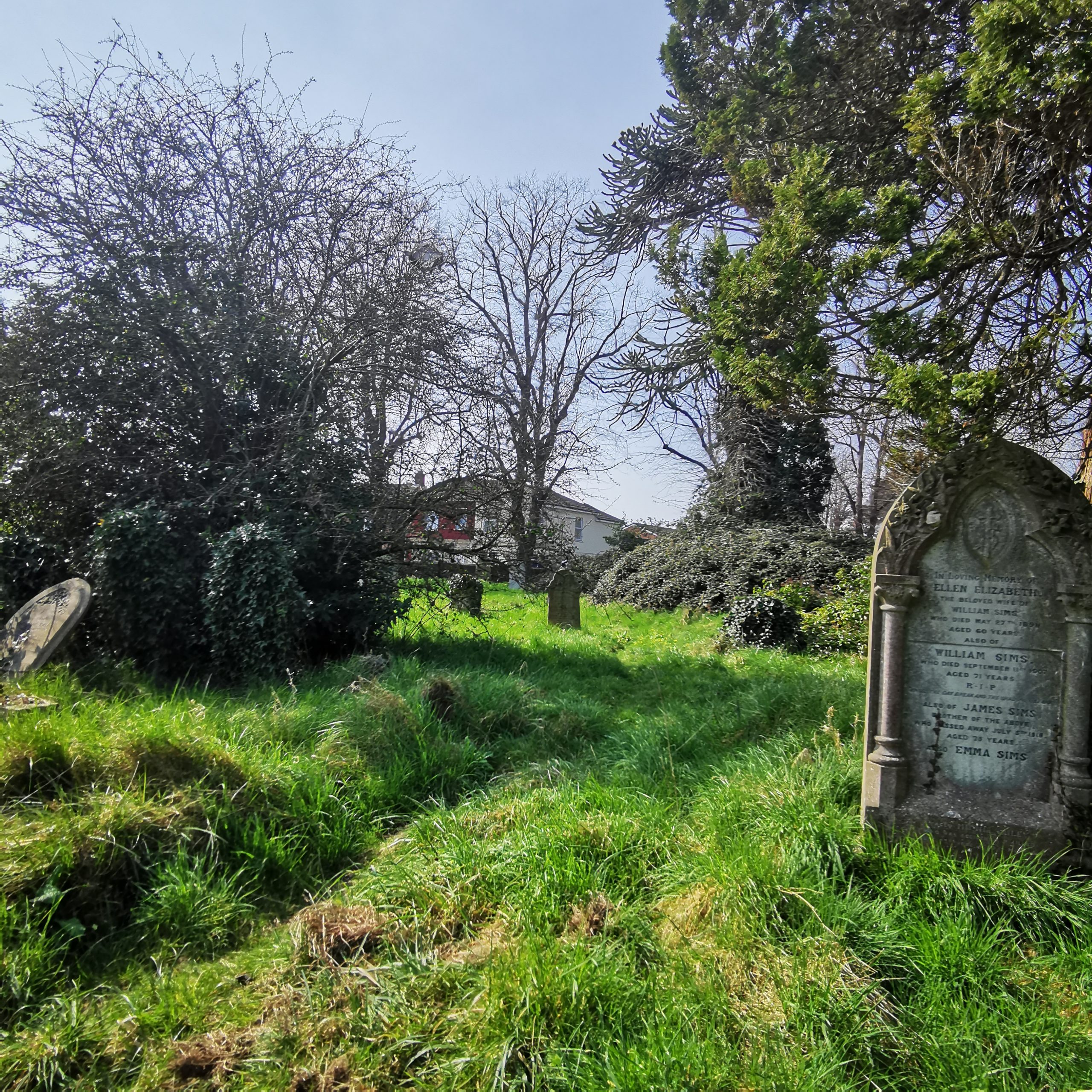 There is a grassed path with grassed areas to left and right. To the left in the midground is a large bush. To the right is an ornate headstone featuring columns and ornate decoration with a crest top centre