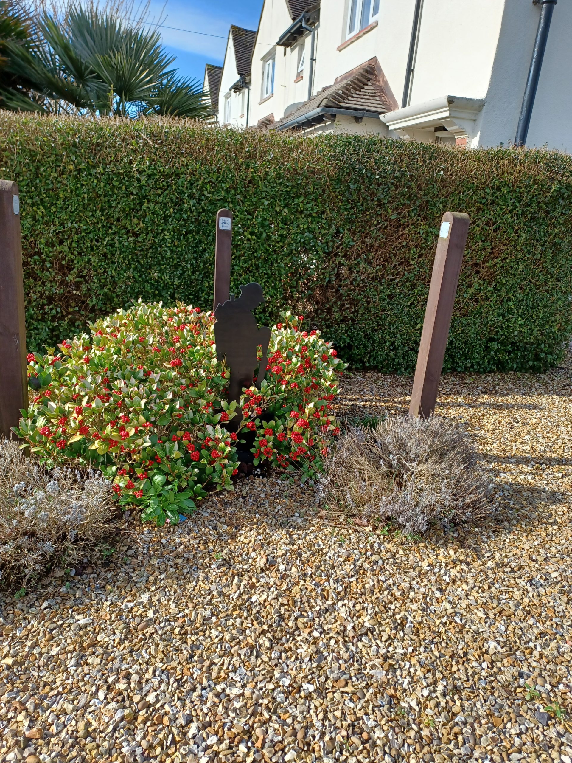 A gravel ground has planters with shrubs and short posts. Behind this a hedge. In the background is a row of white painted houses.